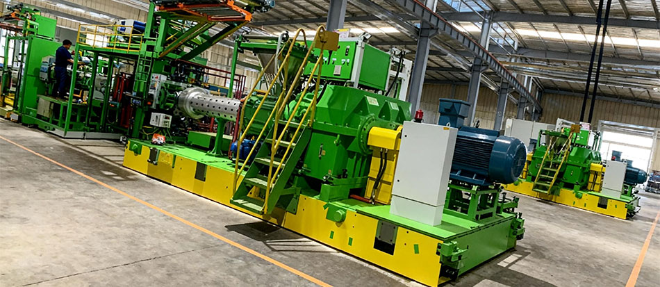 3. كيف تختار الشجرة المناسبة لمساحة مكتبك؟