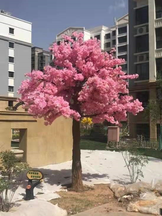 نباتات محاكاة